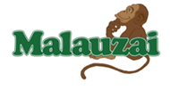 Bronze Sponsor