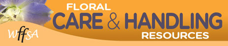 Care & Handling