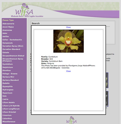 popup screen