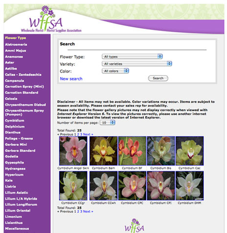 search results screen
