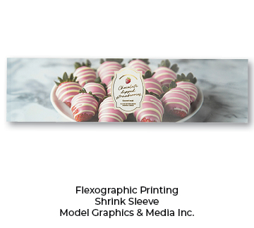 Model Graphics