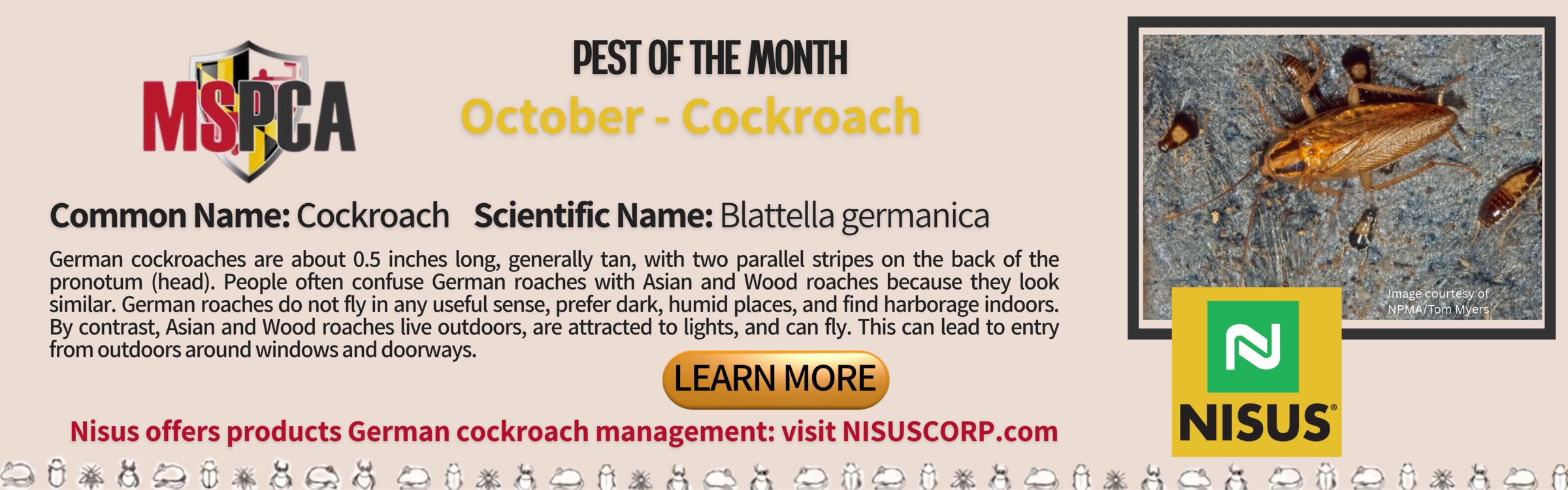 POTM October Cockroach Banner