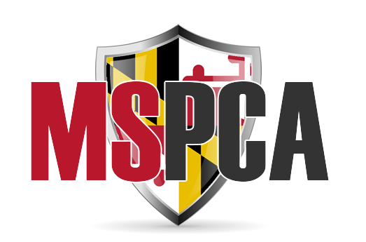 MSPCA Wraps Up 2025 with Annual Dinner and Board Meeting