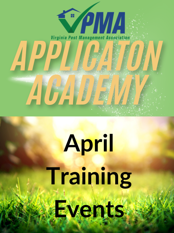 Know Before You Go: Tidewater Application Academy