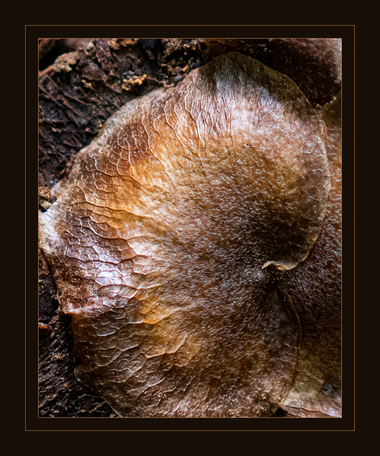 May 19 2025 Masters Salon Web 01