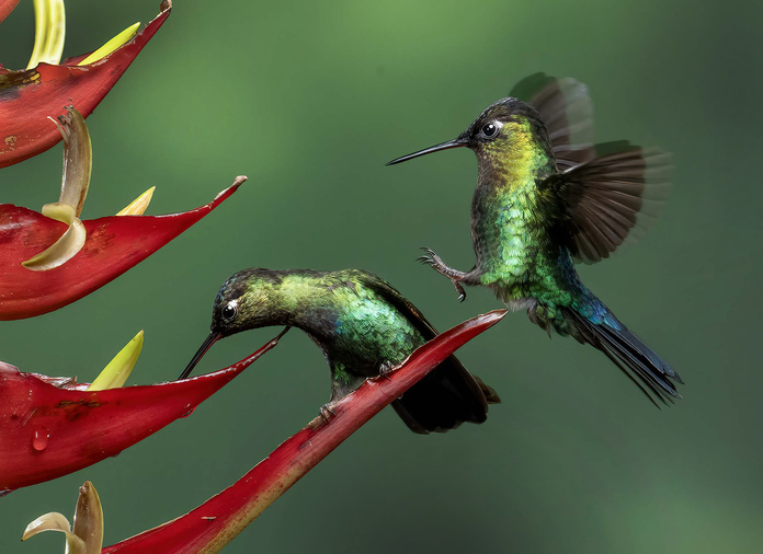 May 19 2025 Masters Salon Web 01