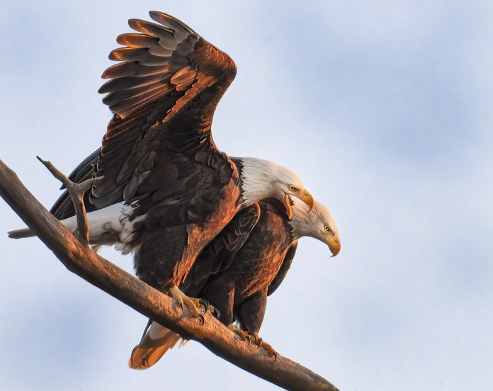 May 19 2025 Masters Salon Web 01