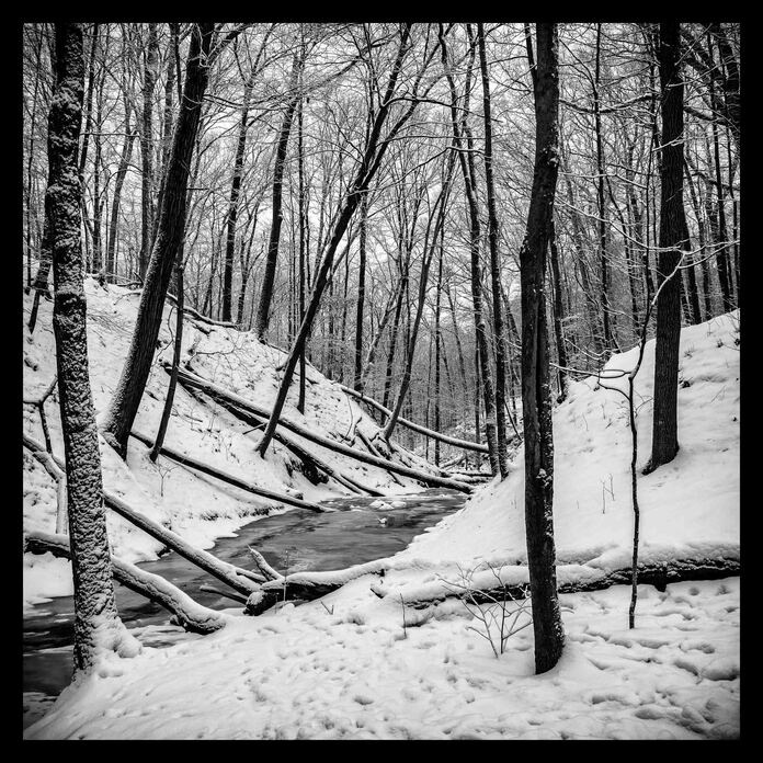 May 19 2025 Masters Salon Web 01