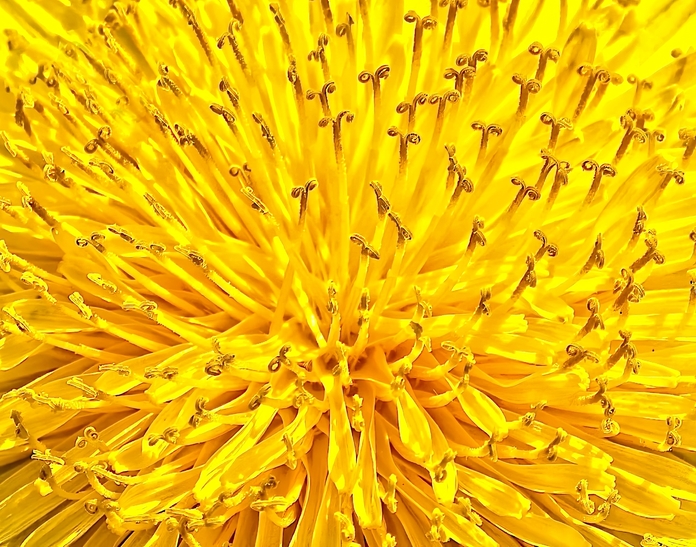 May 19 2025 Masters Salon Web 01