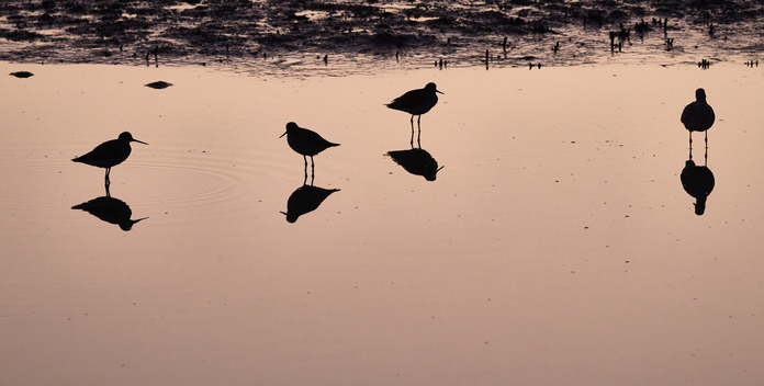 May 19 2025 Masters Salon Web 01