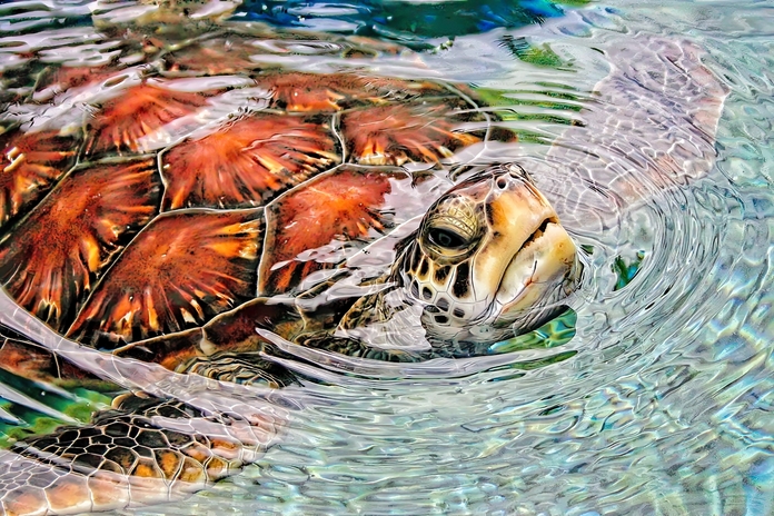 May 19 2025 Masters Salon Web 01