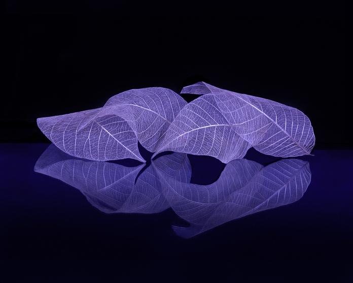 May 19 2025 Int Adv Salon Web 01