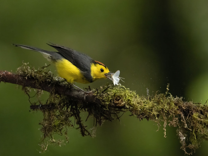 May 19 2025 Int Adv Salon Web 01