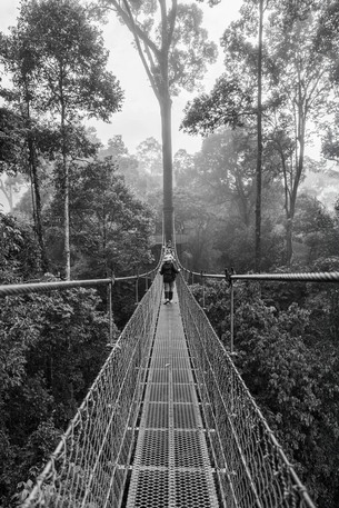 May 19 2025 Beginner Salo Web 01