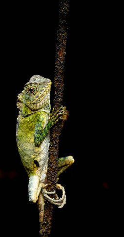 May 19 2025 Beginner Salo Web 01