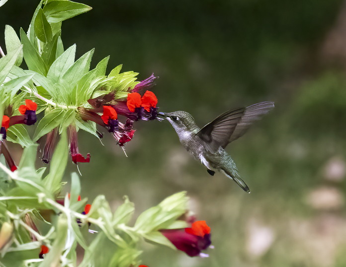 May 19 2025 Beginner Salo Web 01