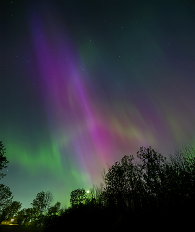 May 19 2025 Beginner Salo Web 01