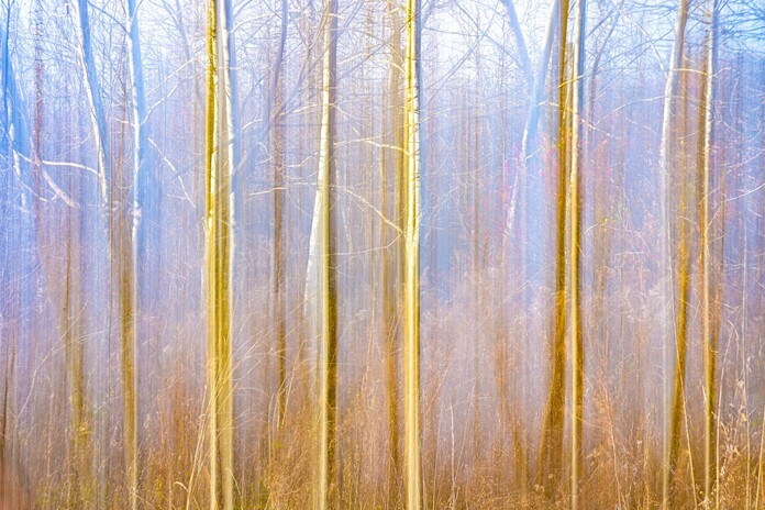 May 19 2025 Beginner Salo Web 01