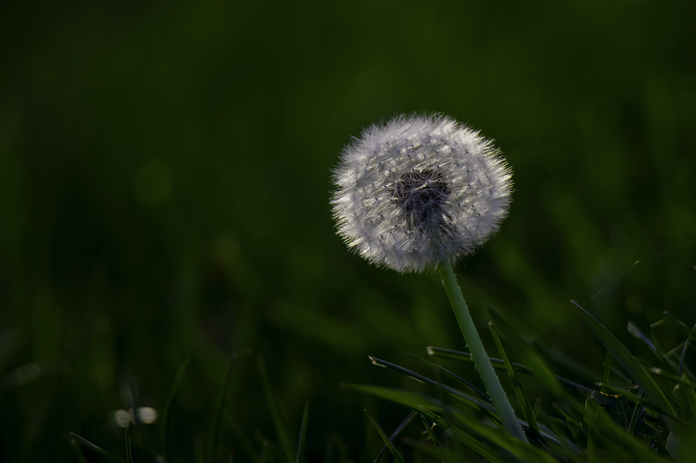 May 19 2025 Beginner Salo Web 01