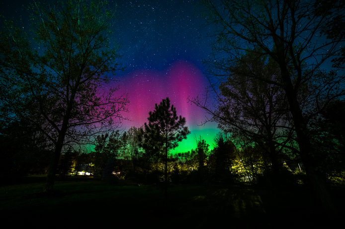 May 19 2025 Beginner Salo Web 01