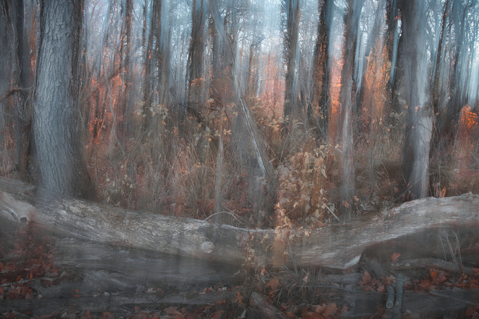 May 19 2025 Beginner Salo Web 01