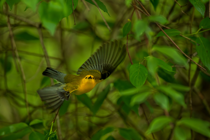 May 19 2025 Beginner Salo Web 01