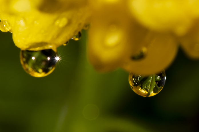 May 19 2025 Beginner Salo Web 01