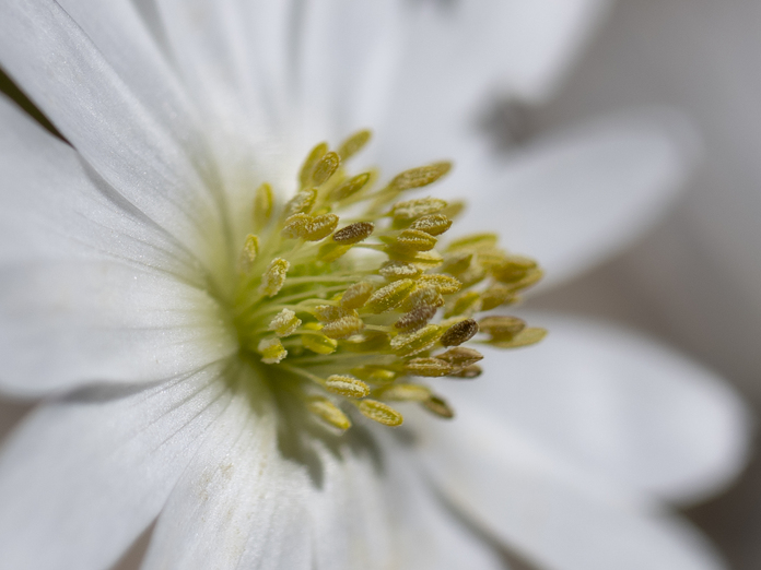 May 19 2025 Beginner Salo Web 01