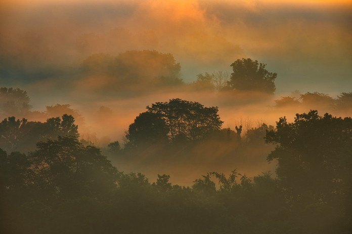 May 19 2025 Beginner Salo Web 01